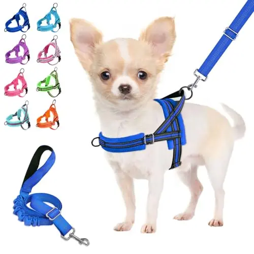 Lukovee soft padded dog harness and leash set for small dogs