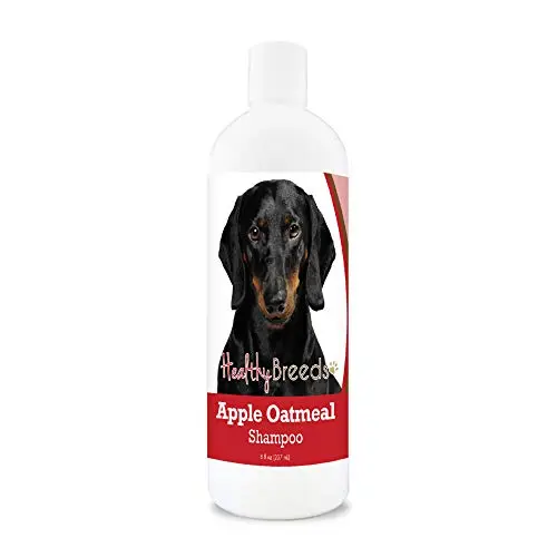 Healthy Breeds Dachshund Apple Oatmeal Dog Shampoo bottle