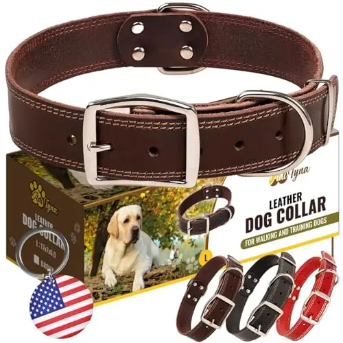 ADITYNA brown genuine leather dog collar with double buckle