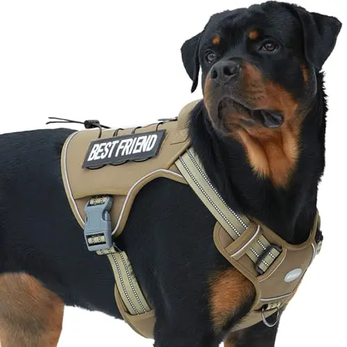 AUROTH army yellow tactical dog harness with Molle system and metal rings