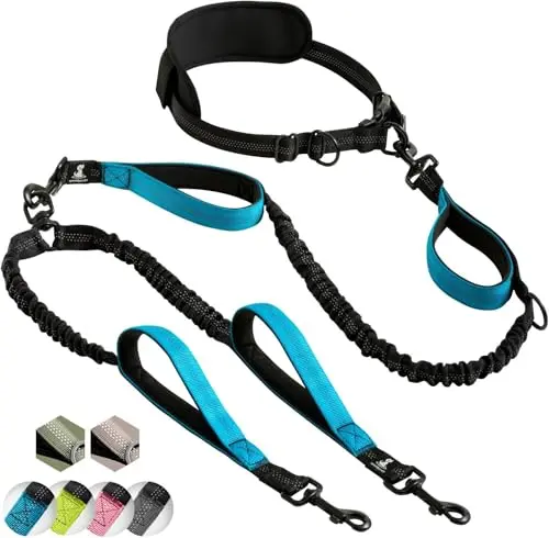 SparklyPets blue hands-free double dog leash with adjustable waist belt