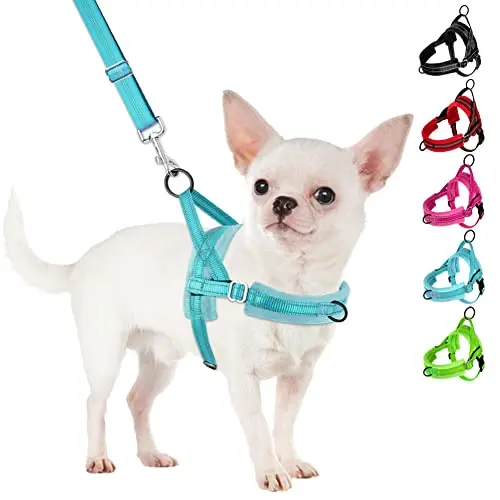 SlowTon No Pull Small Dog Harness and Leash Set in Teal on a small puppy