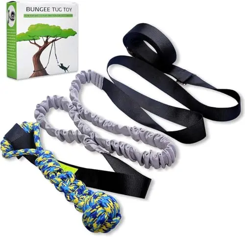 LOOBANI bungee tug toy hanging from tree for dogs