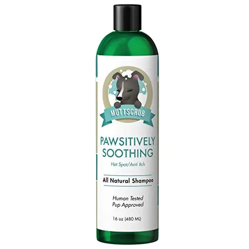 MuttScrub Pawsitively Soothing anti-itch oil-based shampoo for dogs with mange