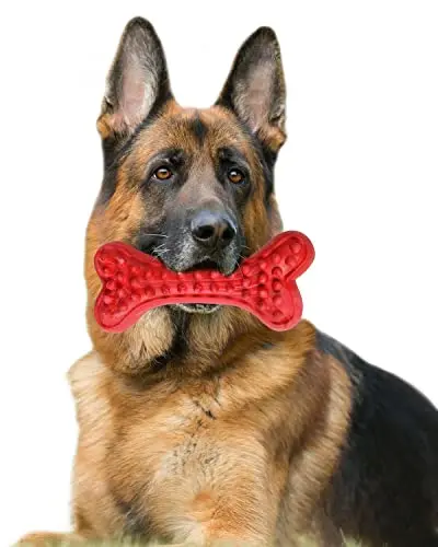 Motusamare natural rubber dog bone chew toy for large dogs