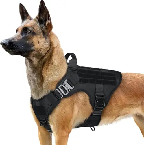 Rabbitgoo tactical dog vest in black with MOLLE system