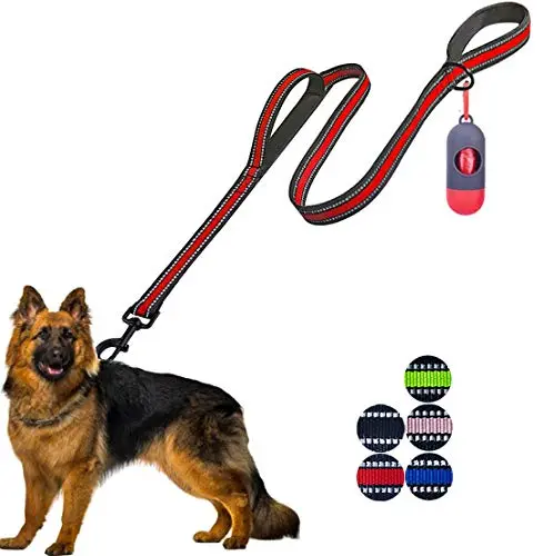 JSXD 5-foot double handle dog leash with padded grip