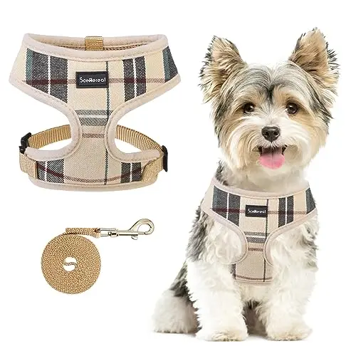 SCENEREAL beige plaid mesh dog harness and leash for small dogs