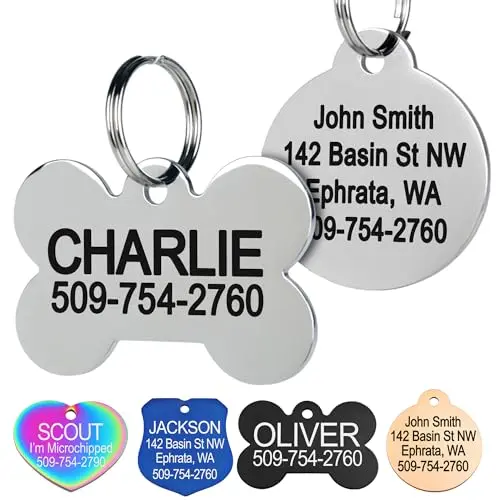 GoTags stainless steel pet ID tag with mirror finish and deep engraving