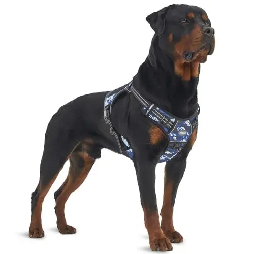 Auroth Tactical Dog Harness in Blue Camo on a large dog, showing MOLLE strips