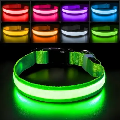 PcEoTllar LED dog collar cycling through rainbow colors on a medium dog