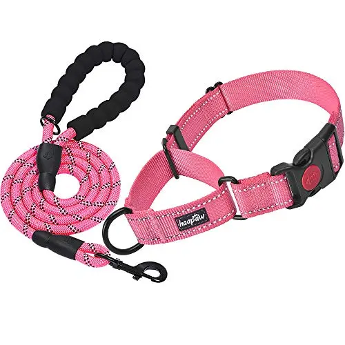 haapaw martingale dog collar with leash