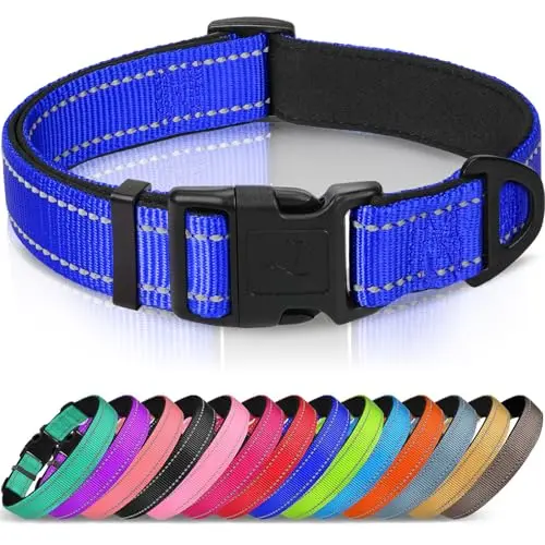 Joytale reflective dog collar in navy blue with padded neoprene lining