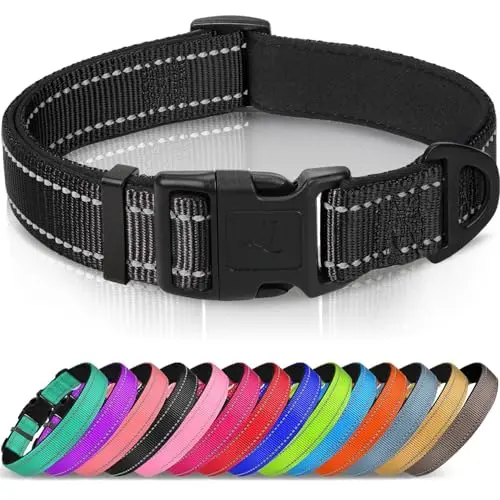 Joytale black reflective nylon dog collar with neoprene padding and a metal D-ring