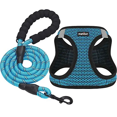 Matilor step-in dog harness in blue, featuring a matching leash