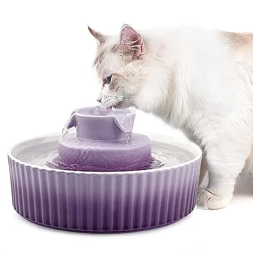 NautyPaws purple ceramic cat water fountain with multiple streams