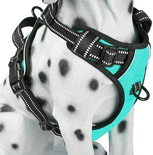 POYPET Mint Blue dog harness with reflective stitching