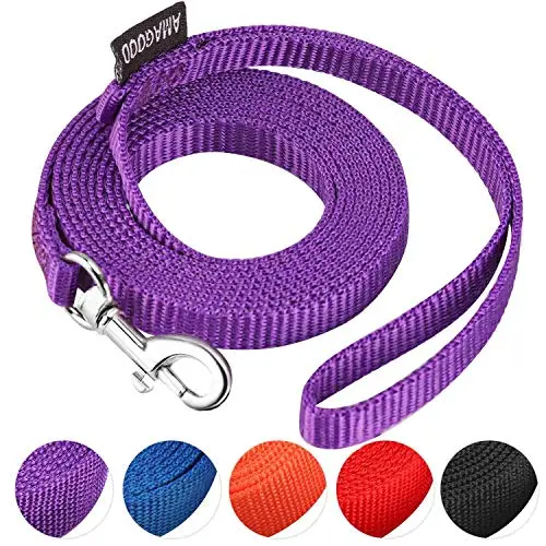 AMAGOOD purple 6-foot traditional style cat leash with a metal clip