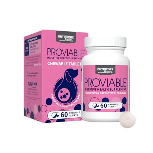 Nutramax Proviable probiotic tablets for dogs
