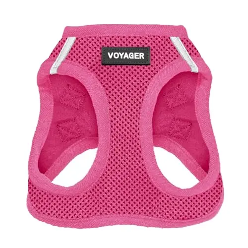 Best Pet Supplies Voyager Step-in Mesh Harness on a small dog