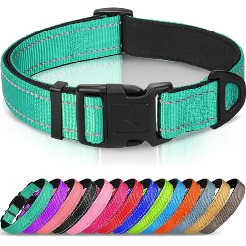 Joytale reflective dog collar in teal for small dogs