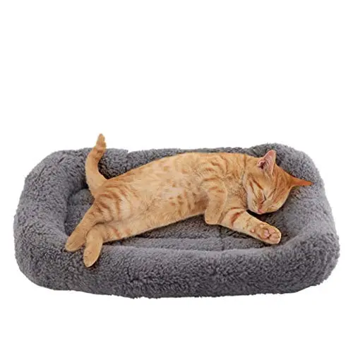 Enjoying Cat Mat Bed with Pillow Around in Grey