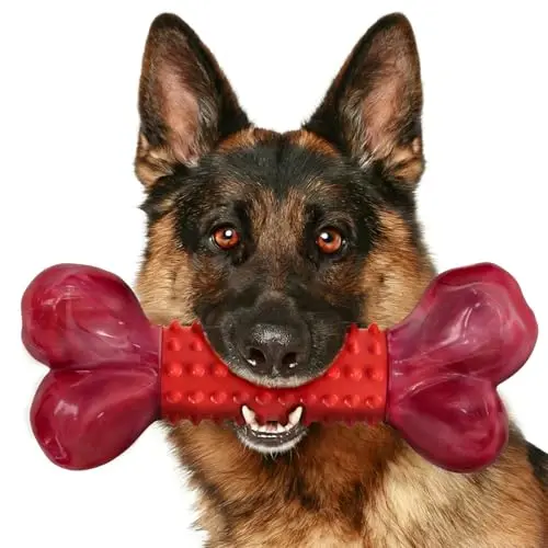 Apasiri dual-material dog chew bone for large breeds