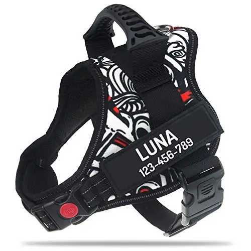 PawPawify personalized white dog harness with doodle pattern