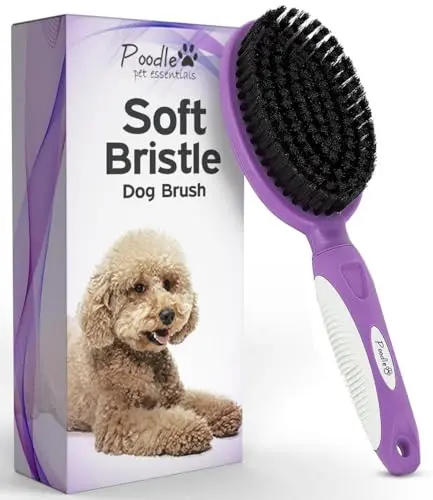 POODLIE soft bristle brush with a rubberized handle