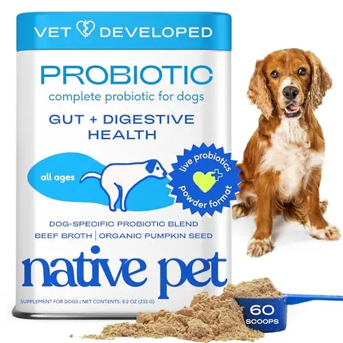 Native Pet Probiotic Powder for dogs with beef bone broth