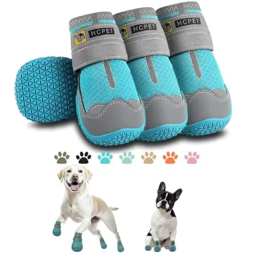 Hcpet blue dog boots with reflective trim