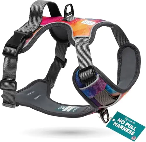 Embark Adventure dog harness in Aurora with reflective trim and gel-lined handle