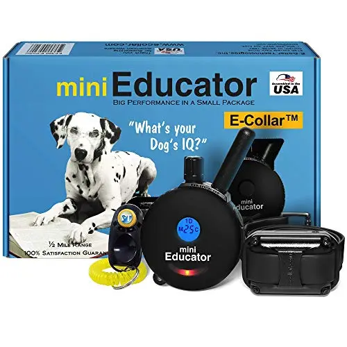 Educator ET-300 Black Mini remote dog training collar