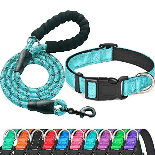 Ladoogo padded dog collar in blue with leash for small dogs