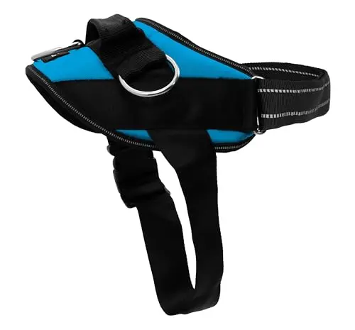 Oceanic blue dog harness with three leash clips