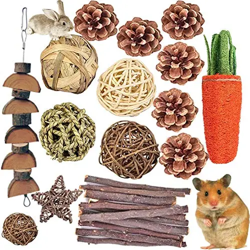 QHZHANG 24PCS Wooden Chew Toys including grass carrot and apple branches
