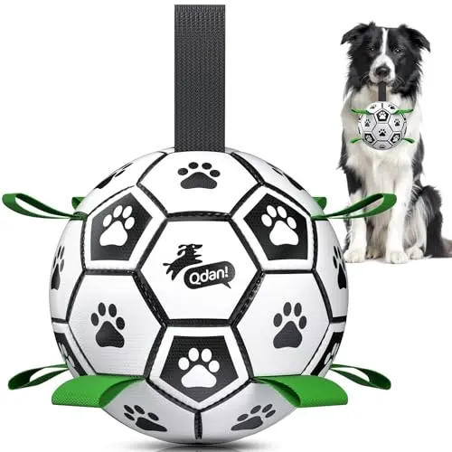 QDAN black and green dog soccer ball with nylon straps