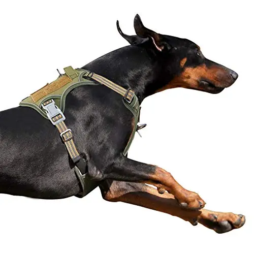 BUMBIN green tactical dog harness with reflective strips and American flag patch