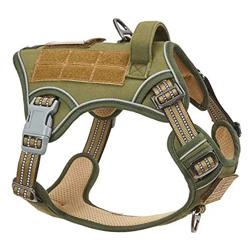 BUMBIN tactical style dog harness with MOLLE panels