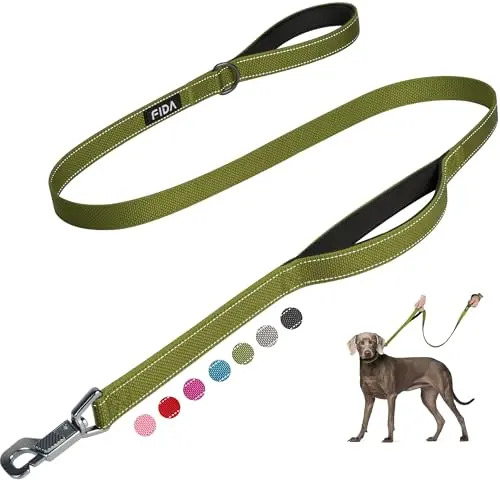 Fida 4-foot heavy-duty dog leash with easy-snap hook and padded handles