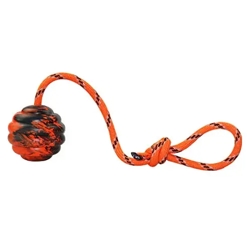 Nevperish rubber training ball with rope handle for dogs