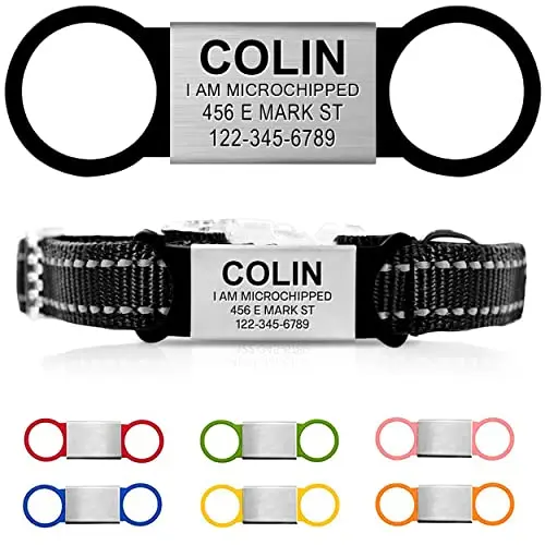 AM Nails slide-on pet ID tag with stainless steel and silicone construction