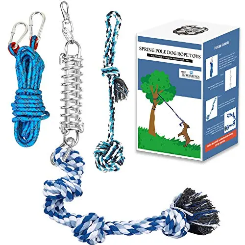 TT TRSMIMA Spring Pole dog toy hanging from a tree with rope