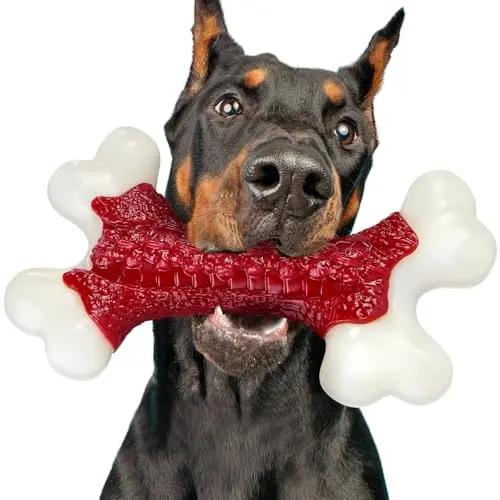Kseroo red beef-flavored hard nylon bone chew toy for dogs