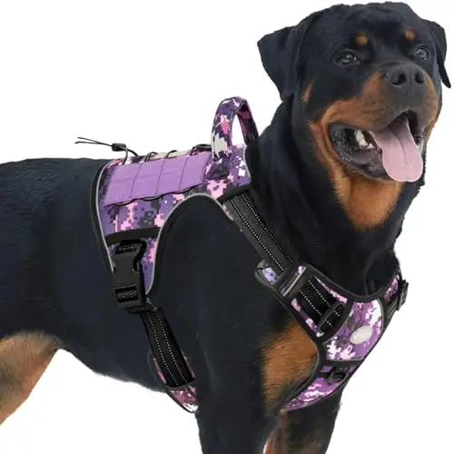 Auroth purple camouflage tactical dog harness with MOLLE webbing