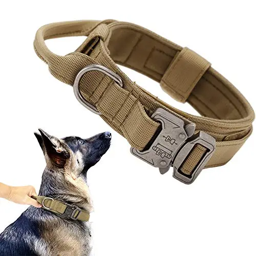 Xqpetlihai brown tactical nylon dog collar with handle on a large dog