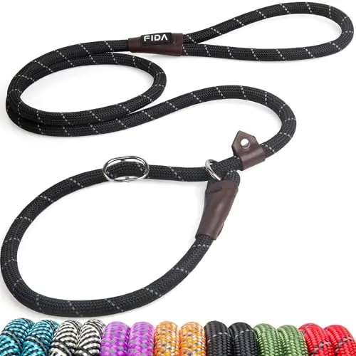 Fida slip lead dog leash for training