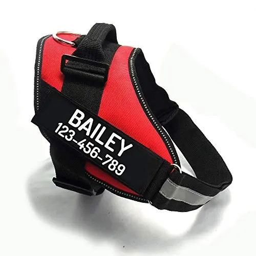 PawPawify personalized no-pull dog harness with custom patches for large dogs