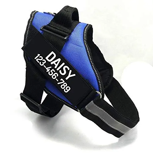 PawPawify Custom No Pull Dog Harness in blue with name patches