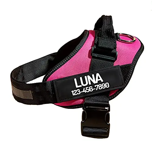 PawPawify personalized dog harness with custom name and phone patches